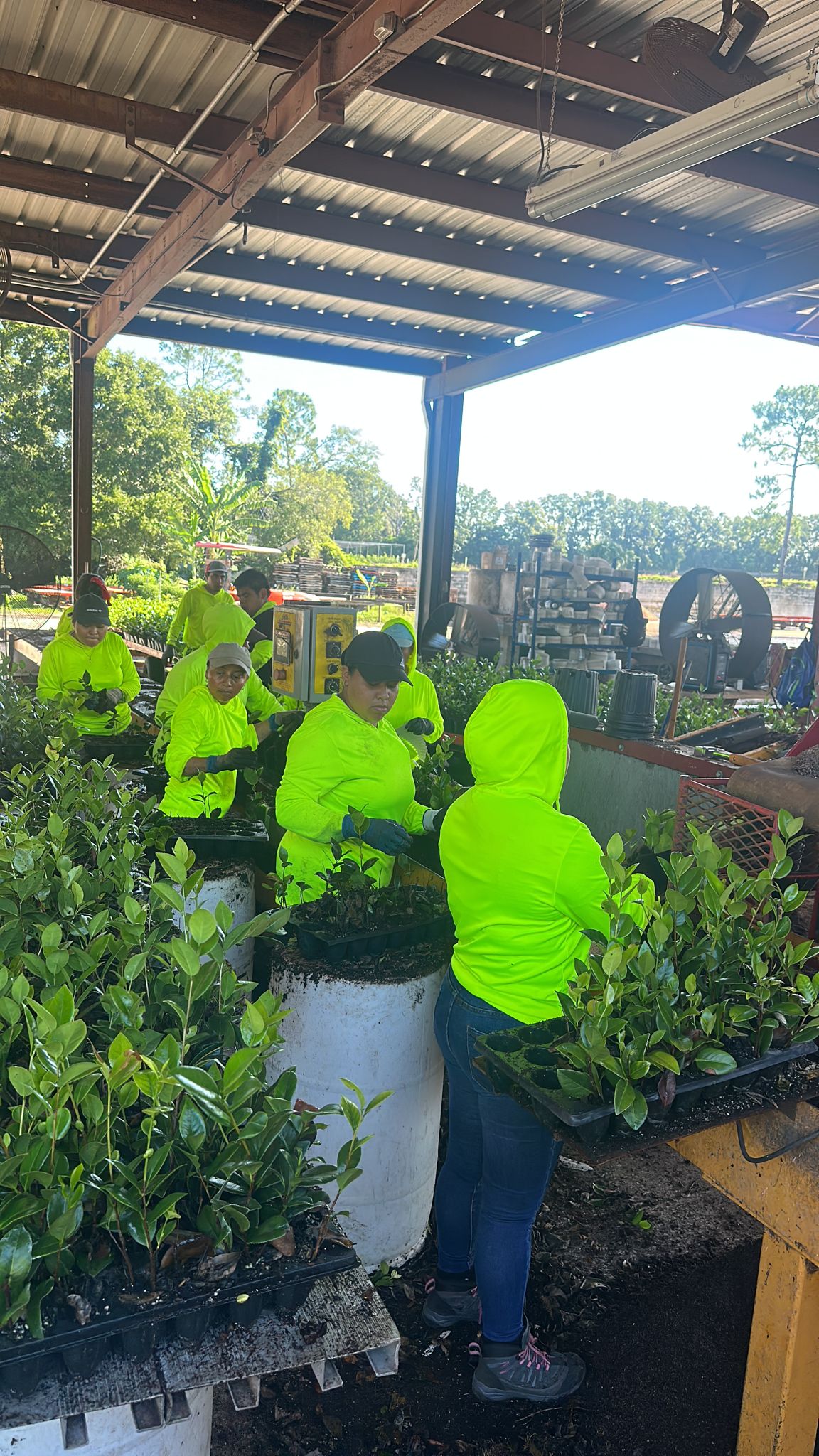 Good Harvest Labor, Inc